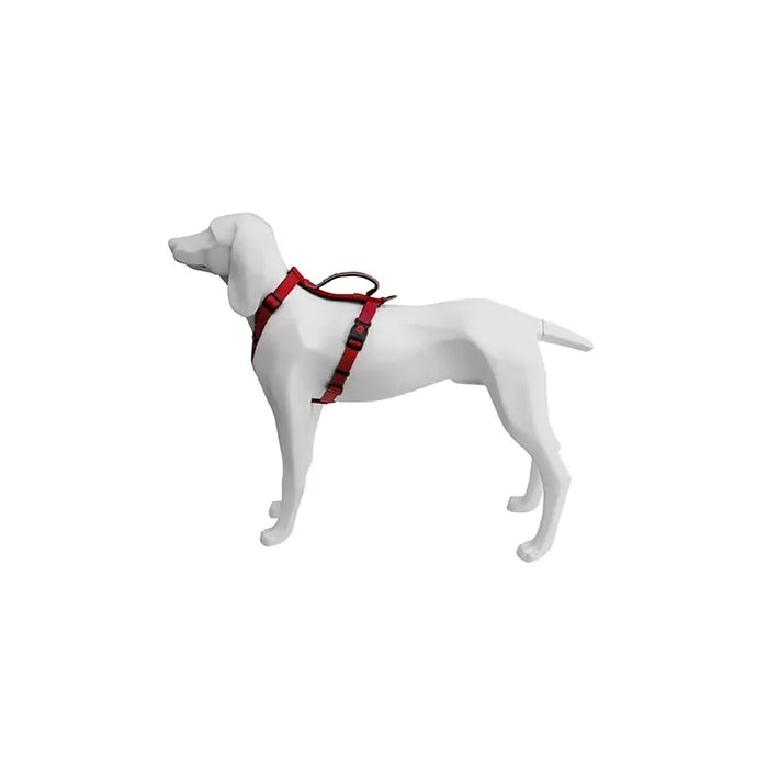 Product image for 16446