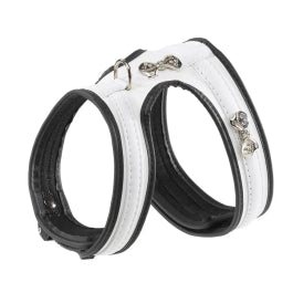 Product image for 15733