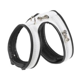 Product image for 15733