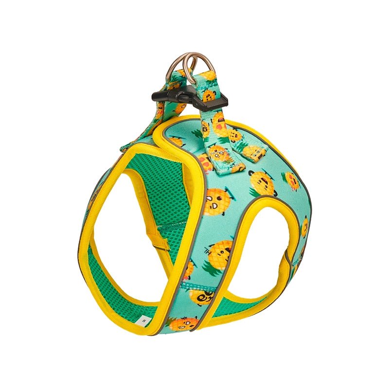 Product image for 11947