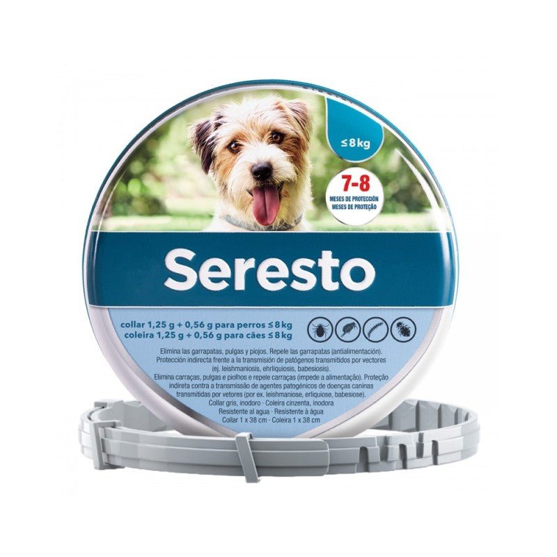 Product image for 19539