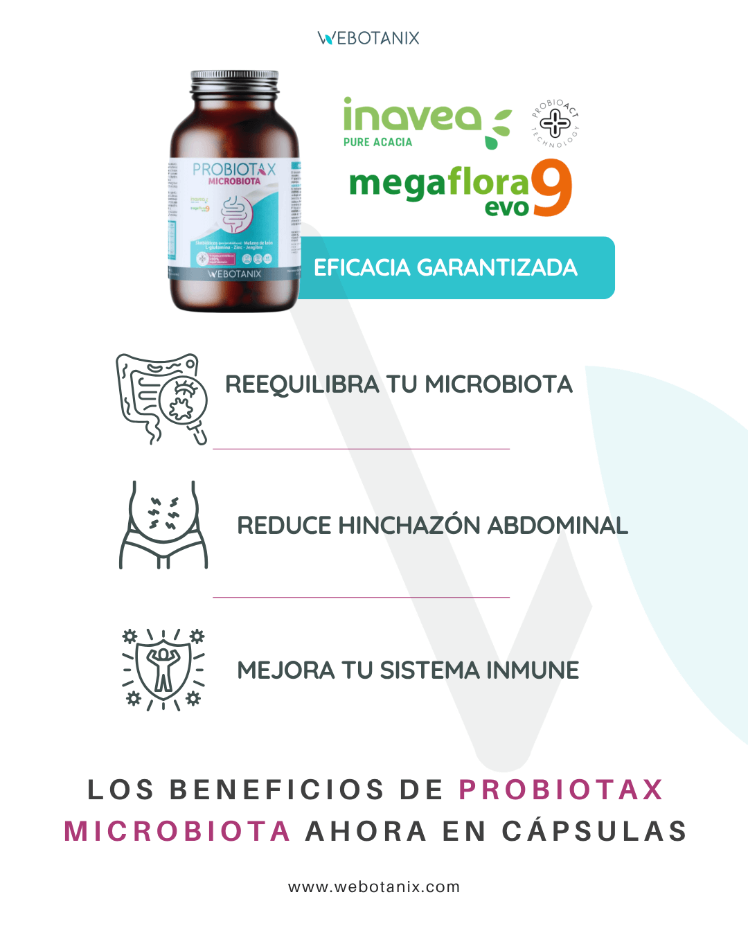 WeBotanix Probiotax Microbiota 30 cápsulas