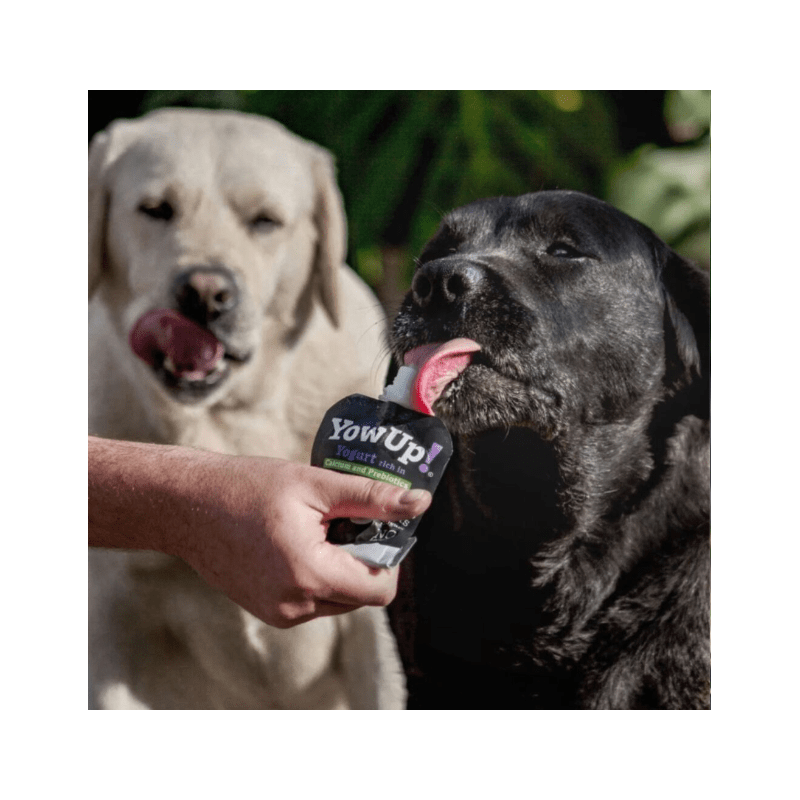 YowUp Yogurt Natural Prebiotics para Perros 115 gr Pack 3 unid