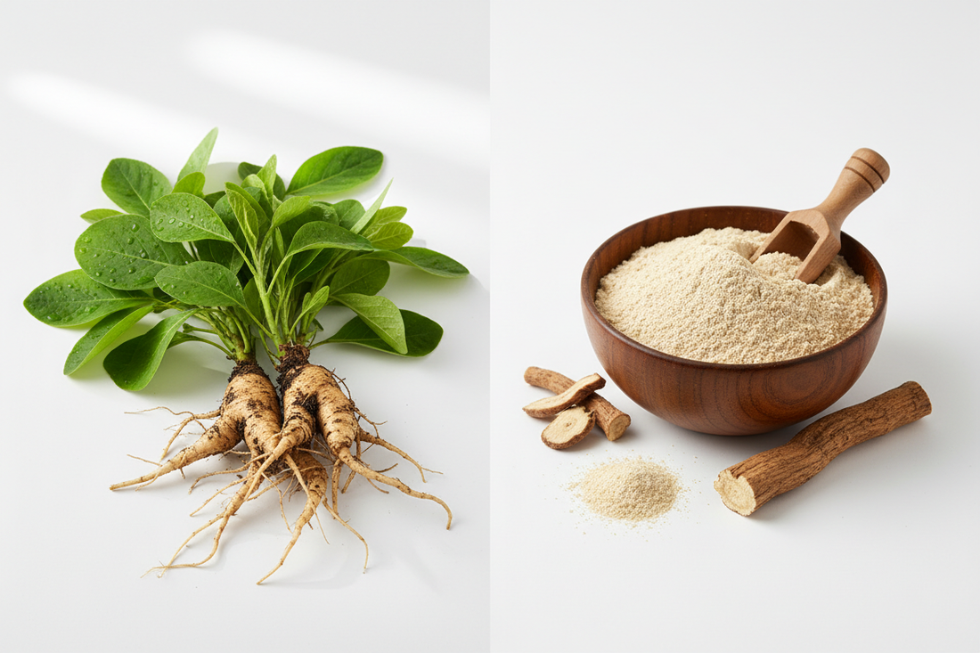 Ashwaganda: ¿Qué es, para qué sirve y cómo tomarla?