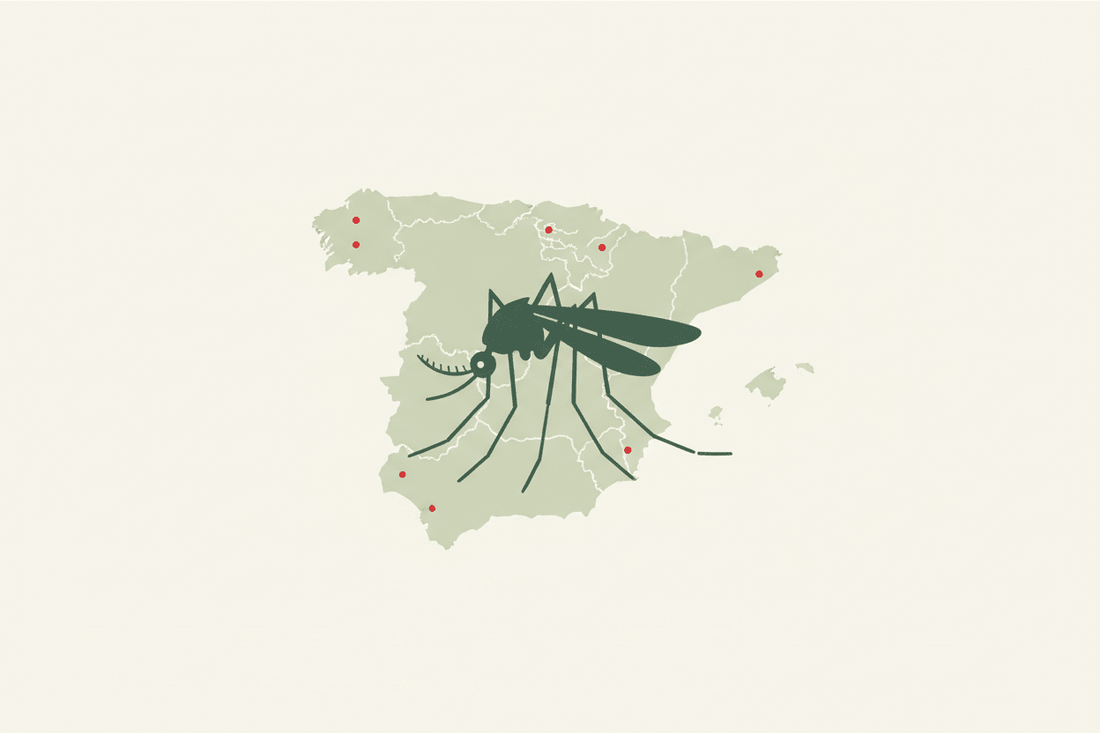 Mosquito tigre en España 2026: cómo identificarlo y protegerte