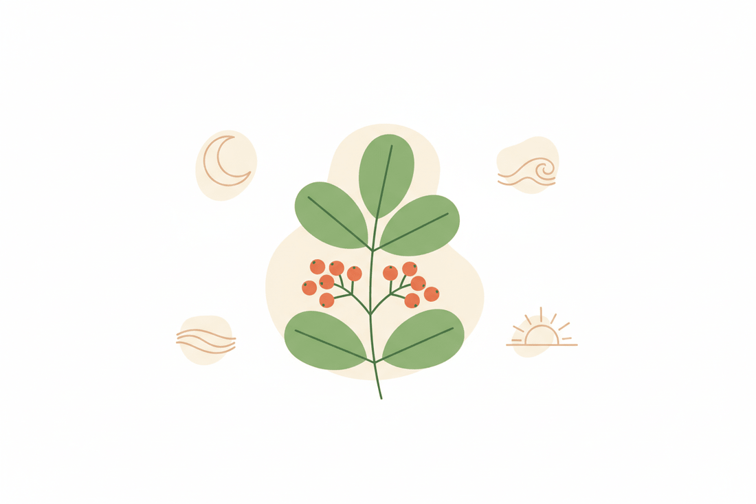 Ashwagandha: qué es, para qué sirve y cómo tomarla bien