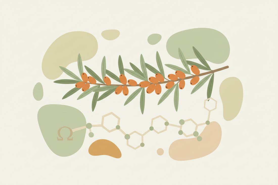 Omega 7 (ácido palmitoleico): qué es, para qué sirve y cuándo tomarlo