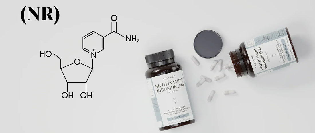 NAD+: qué es, por qué se degrada y la solución NR