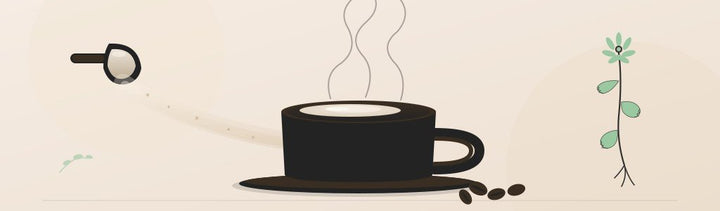 Baia Food Microbiotic Creamer: opinión farmacéutica del probiótico termoestable para café