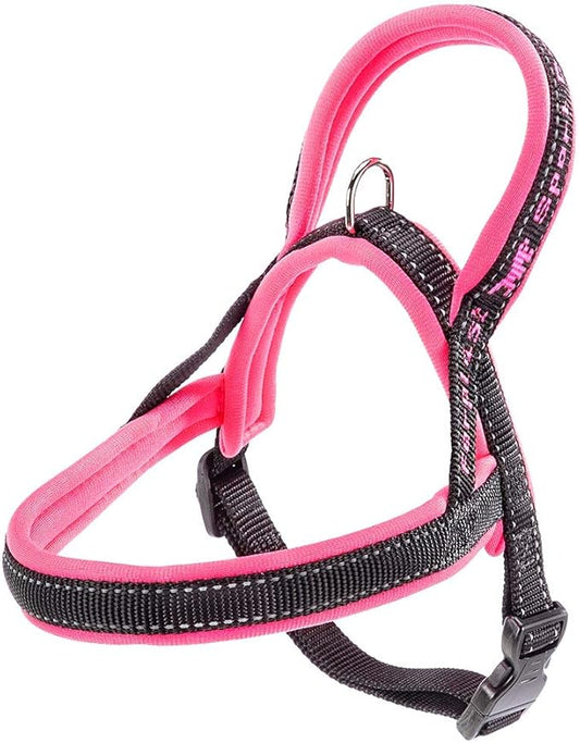Product image for 11079