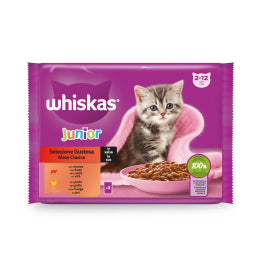 Product image for 11743