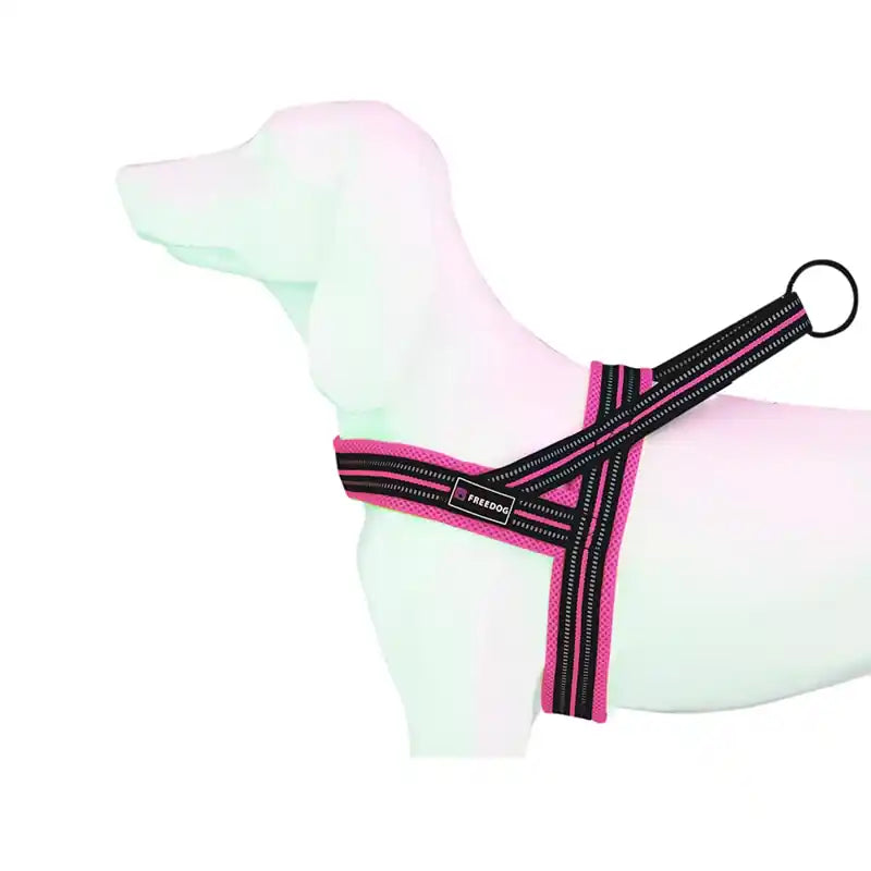 Product image for 15996