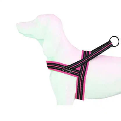 Product image for 15996