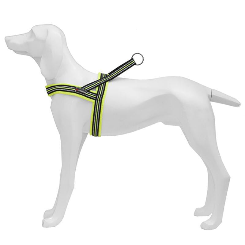 Product image for 16103