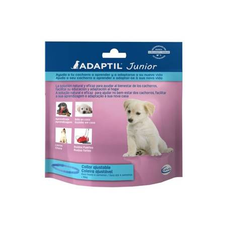 Product image for 13545