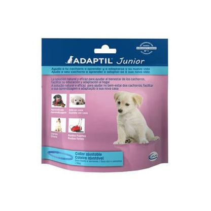 Product image for 13545