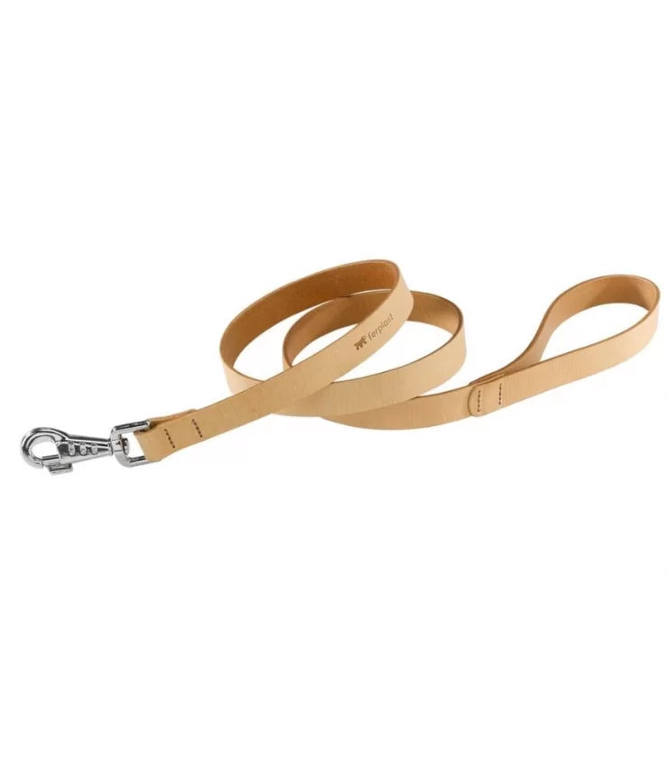 Product image for 14365