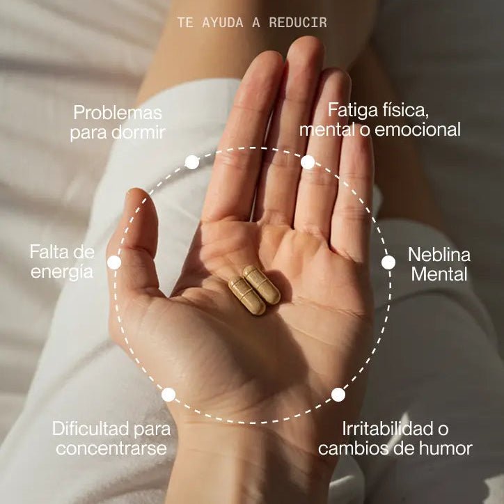 Superlative Daily Brain Power per vite impegnate 60 capsule