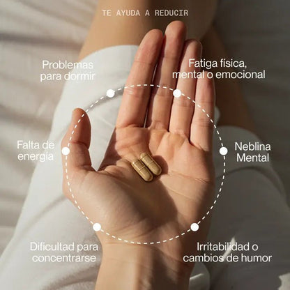 Superlative Daily Brain Power per vite impegnate 60 capsule