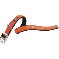 Product image for 10879