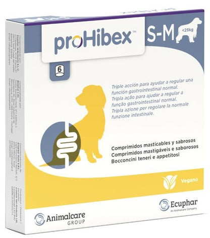 Product image for 13875