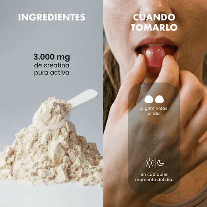 Premium Gummies Performance Creatine Suplemento Creatina 3.500 mg 60 Gominolas