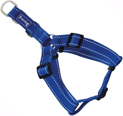 Product image for 16222