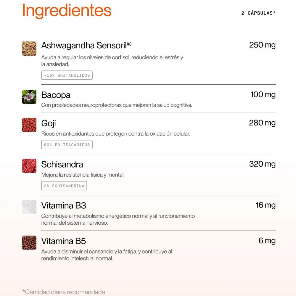 Superlative Daily Brain Power per vite impegnate 60 capsule