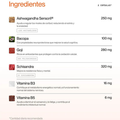Superlative Daily Brain Power per vite impegnate 60 capsule