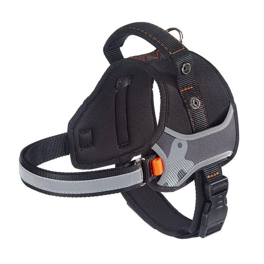 Product image for 14464