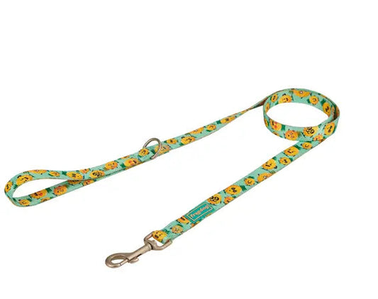 Product image for 11937