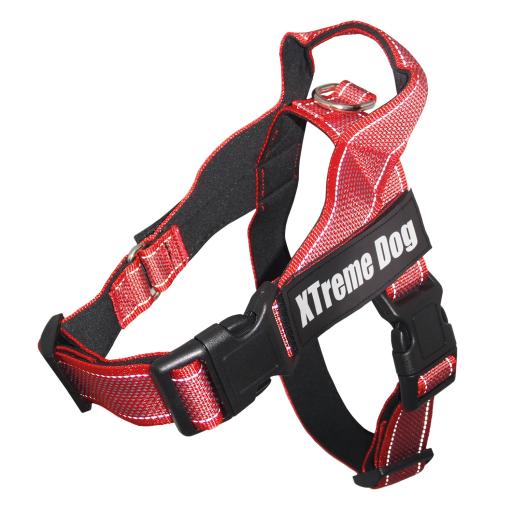 Product image for 11976