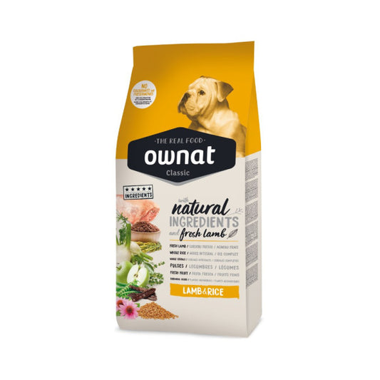 Product image for 10171
