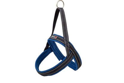 Product image for 16203