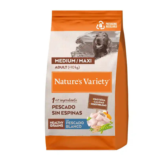 Product image for 13608