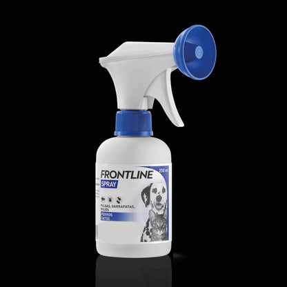 Product image for 19346