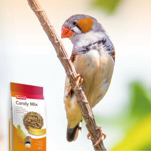 Product image for 13670