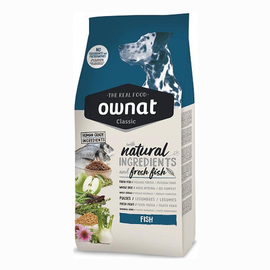 Product image for 10764