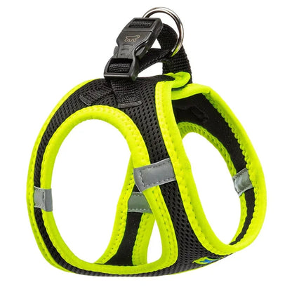 Product image for 15181