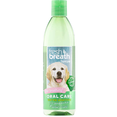 Product image for 11456