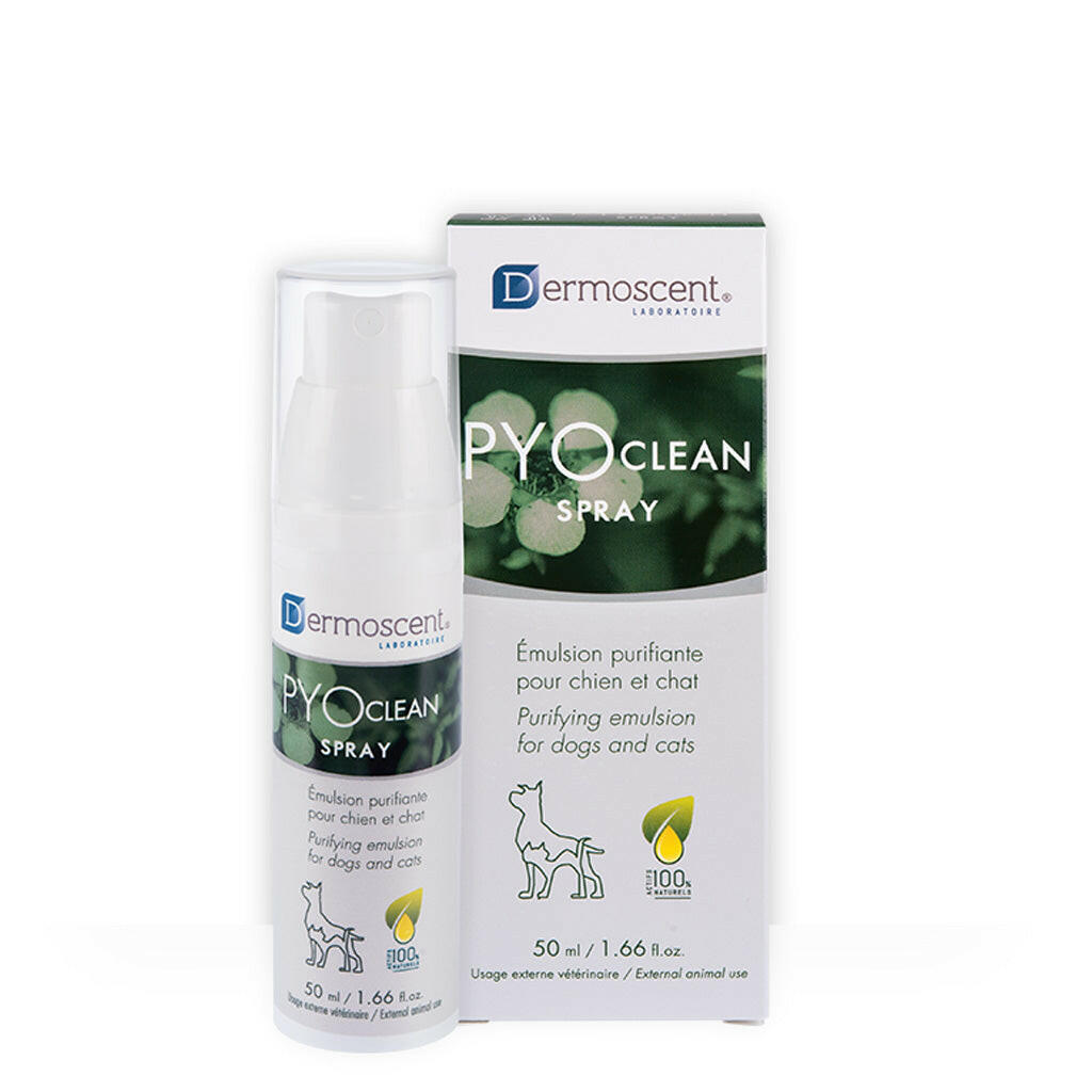 Product image for 11208
