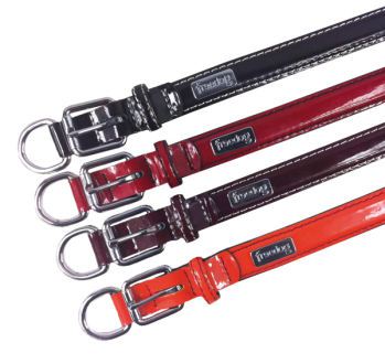 Product image for 16522
