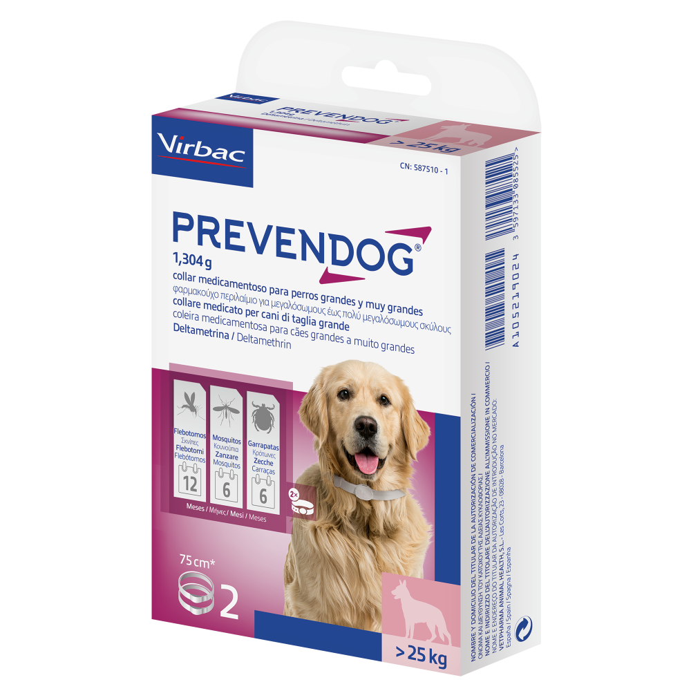 Product image for 19553