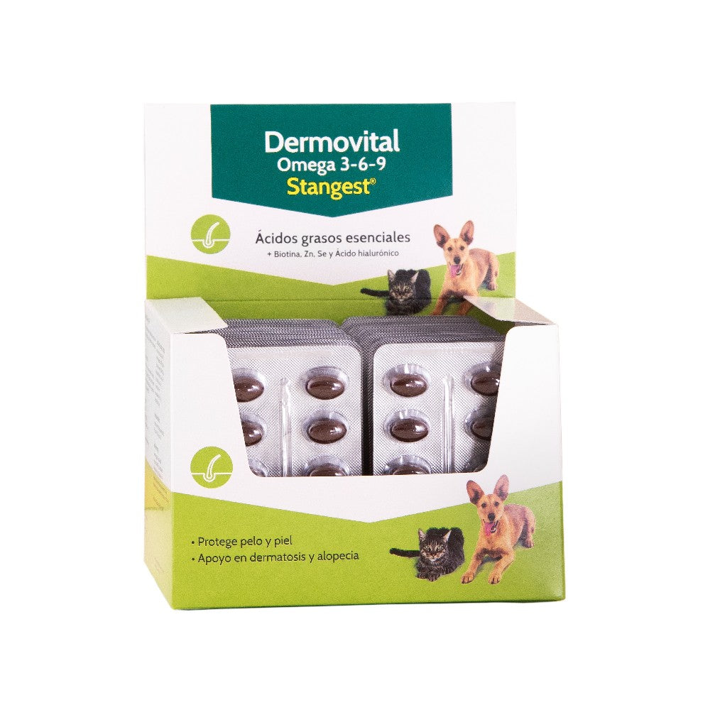 Product image for 16881