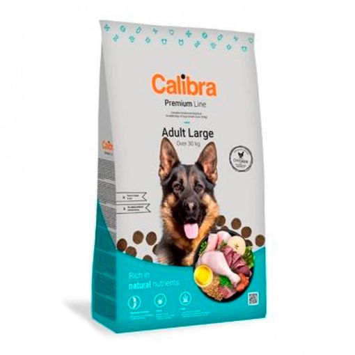 Product image for 13726