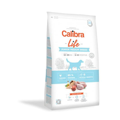 Product image for 13753