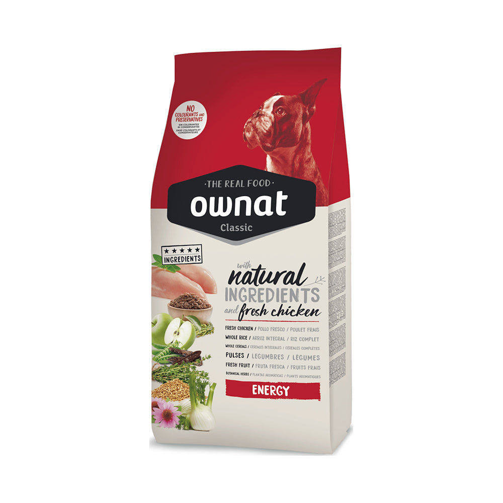 Product image for 16736