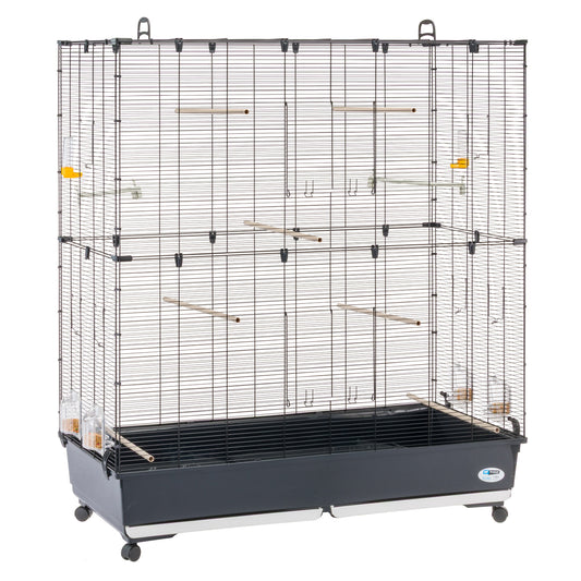 Product image for 14877