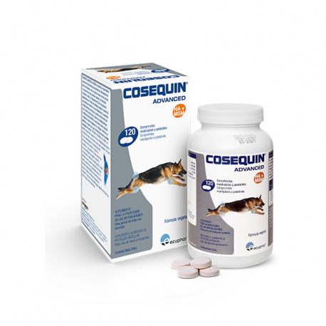 Product image for 8364
