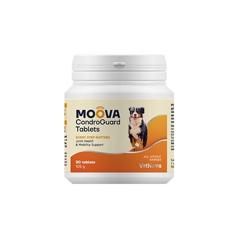 Product image for 16919